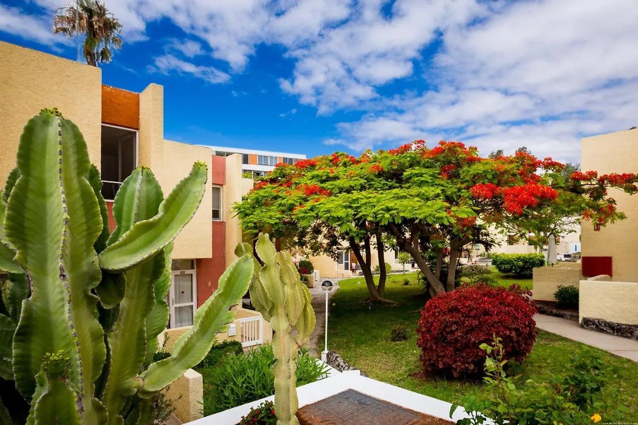 Bungalow Costa Adeje Cortijo 1-8 Playa de las Americas  Playa de las Americas (Tenerife)